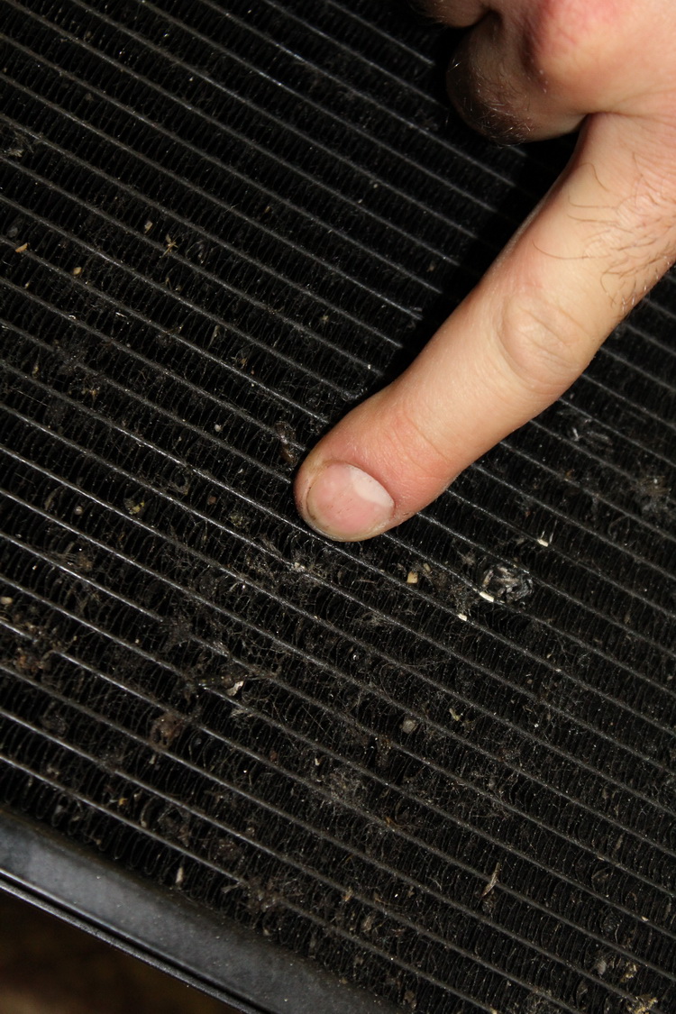 Auto Legkondicionalo Javitas 1