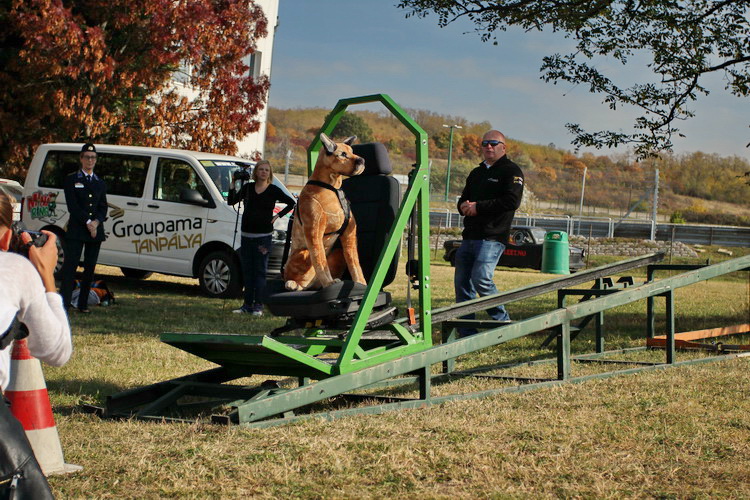 Kutya Szallitas Autoban 6