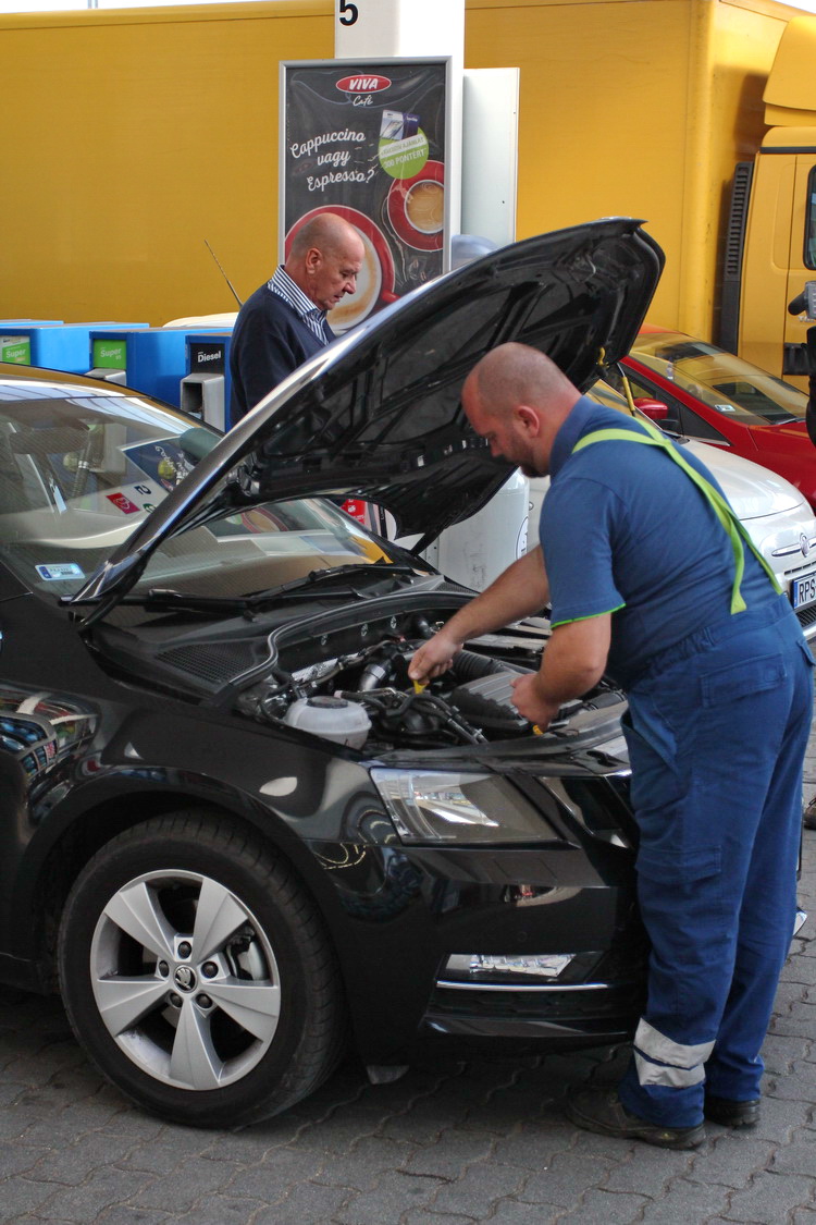 Latni Latszani 2019 3