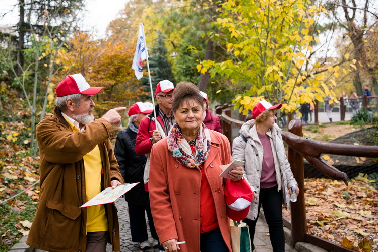 2019 Szenior Kresz Szafari 1