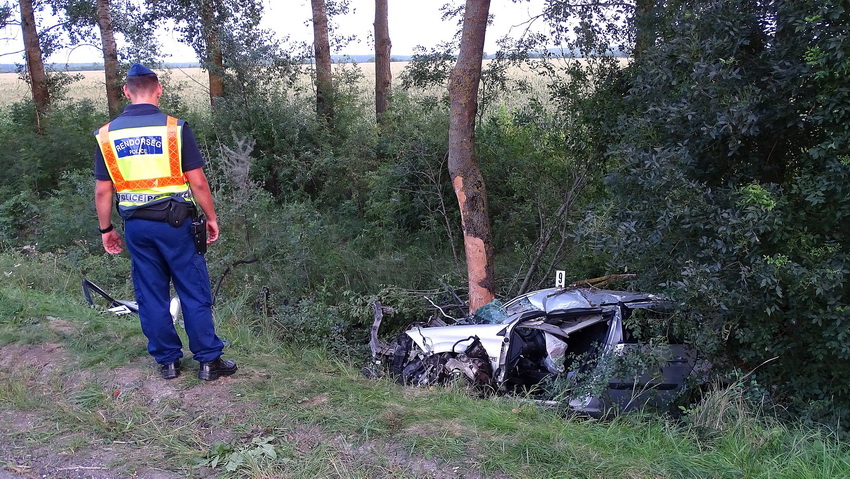 Meghalt Egy Autós, Aki Fának ütközött Békésben