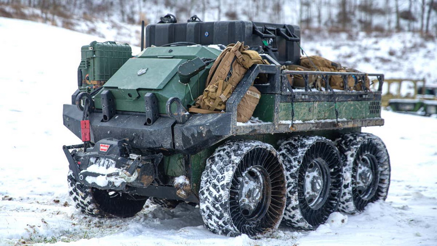 2202 Hunter Wolf Onjaro 2