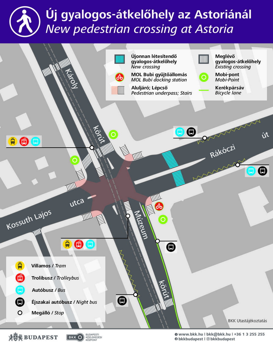2404 Astoria Zebra 2
